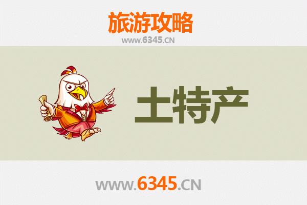 博尔塔拉精河旅游必带土特产全攻略